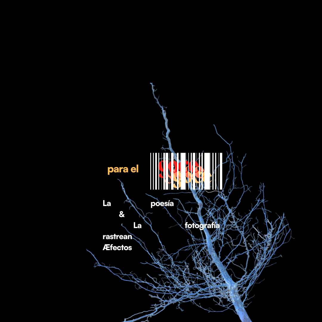 Sobre nosotros copia de exota (post para instagram (45)) (post para instagram (34))