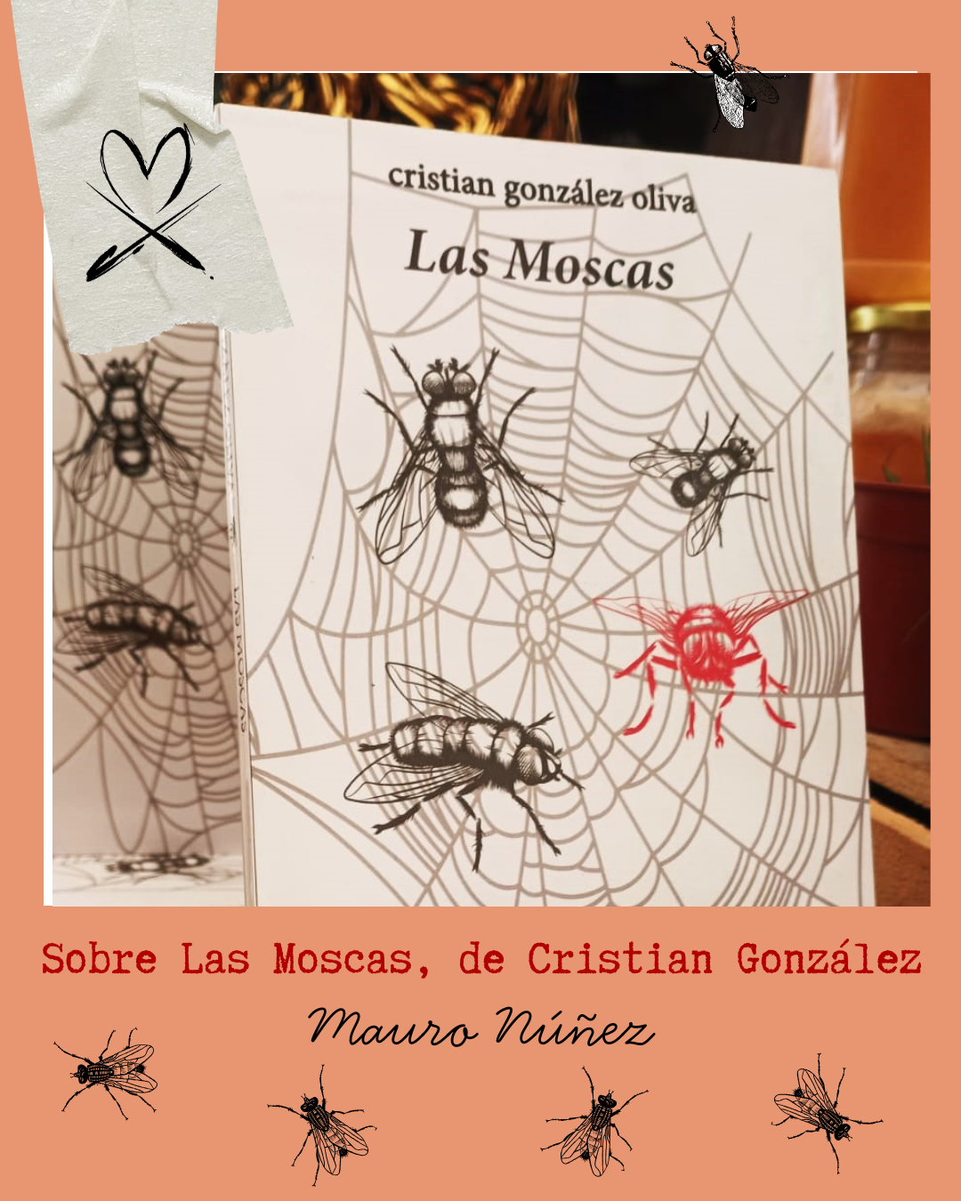 Sobre Las Moscas, de Cristian González