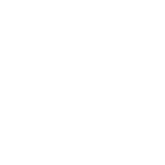logo exota blanco