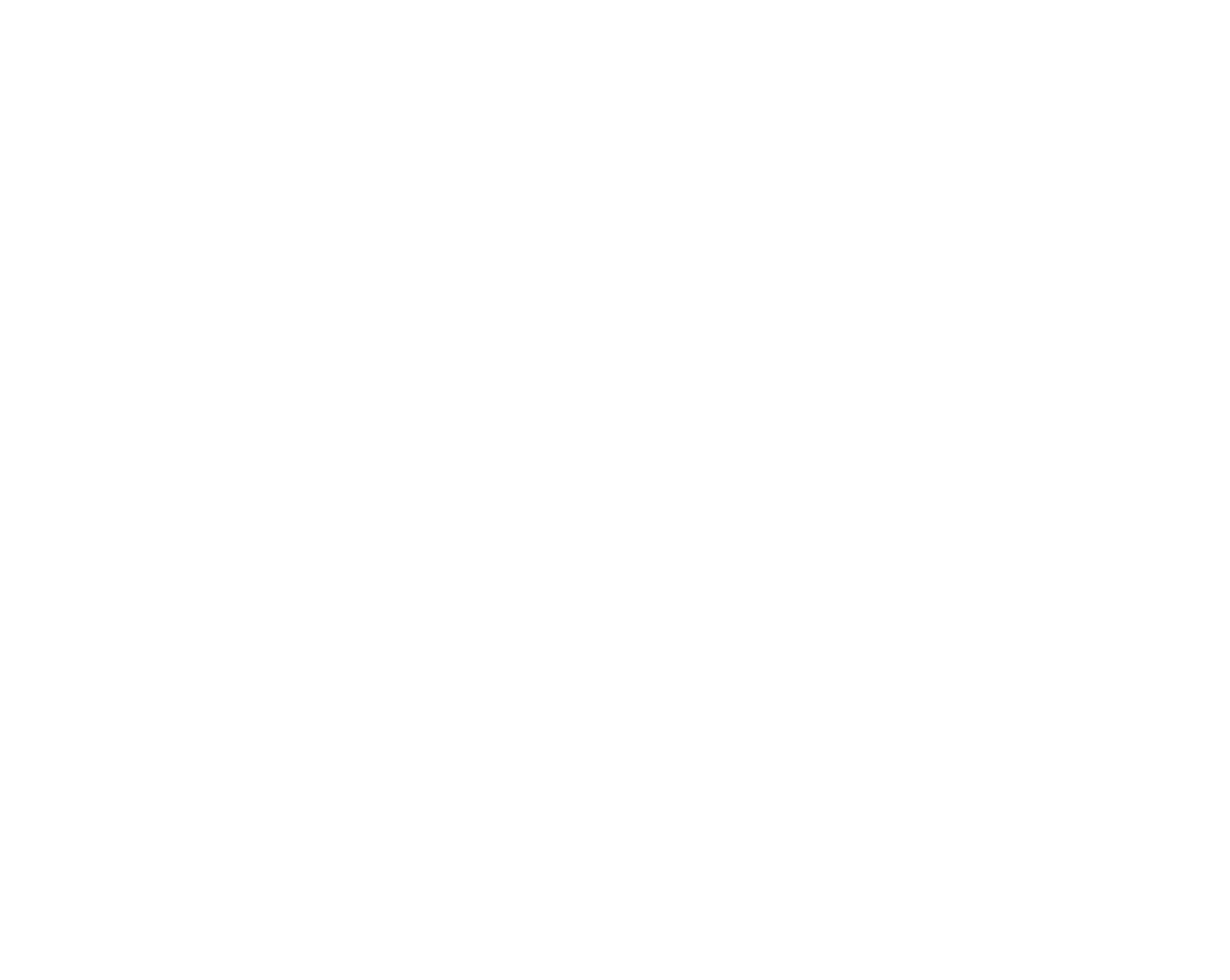 logo exota blanco